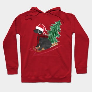 Labradoodle Christmas Sled Bringing Home The Tree Hoodie